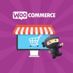 WOOCOMMERCE FLAT RATE BOX SHIPPING 2.2.6